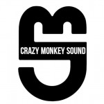 Свет и звук - Crazy Monkey Sound аренда  свет звук спецэффекты