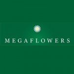 Оформление мероприятий - Megaflowers