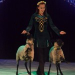 Шоу с животными - дрессированные овечки и козлик