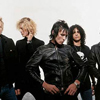 Velvet Revolver  
