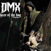  DMX     
