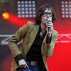   Pulp     
