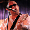 Pixies   


