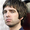 
 Oasis    -

