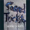 
Sonic Youth     
