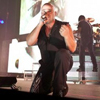 
Disturbed    