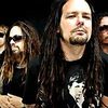 Korn    DVD
