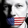 Wikileaks   
