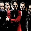 The Jim Jones Revue   
