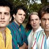 The Vaccines   
