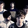 Foals      

