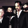    Bad Seeds   
