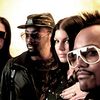 Will.i.am    

