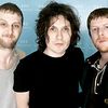 Fratellis   
