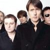 Suede  -    
