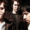 The Cribs   