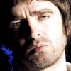  : ' Oasis?   !