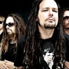 Korn    