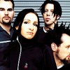 Guano Apes    