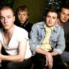 Wild Beasts   