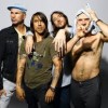 Red Hot Chili Peppers     