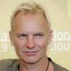 Sting  200     