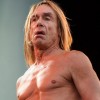 Iggy Pop  U2