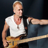 The Police   
