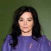  Bjork - Vulnicure   