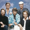  The Beach Boys   

